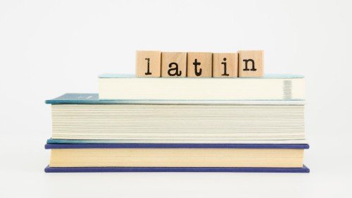 Exploring Romance Languages: French and Italian